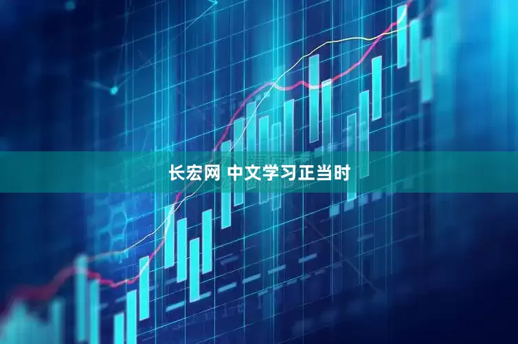 长宏网 中文学习正当时