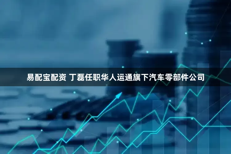 易配宝配资 丁磊任职华人运通旗下汽车零部件公司