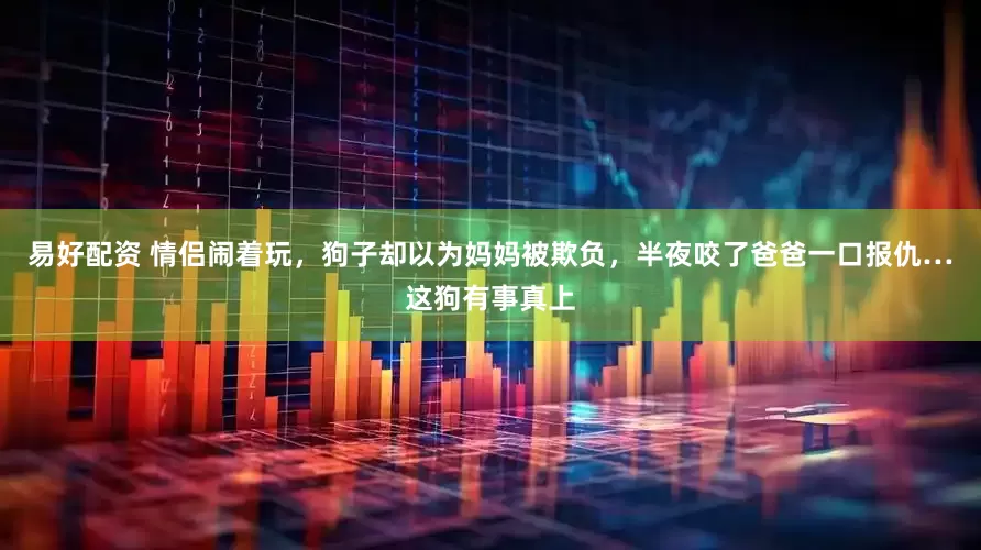 易好配资 情侣闹着玩，狗子却以为妈妈被欺负，半夜咬了爸爸一口报仇…这狗有事真上
