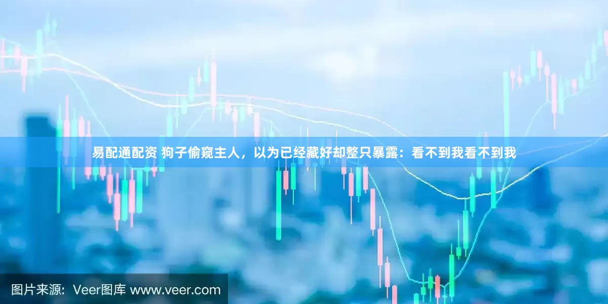 易配通配资 狗子偷窥主人，以为已经藏好却整只暴露：看不到我看不到我