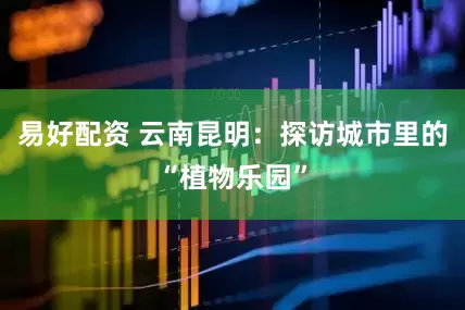 易好配资 云南昆明：探访城市里的“植物乐园”